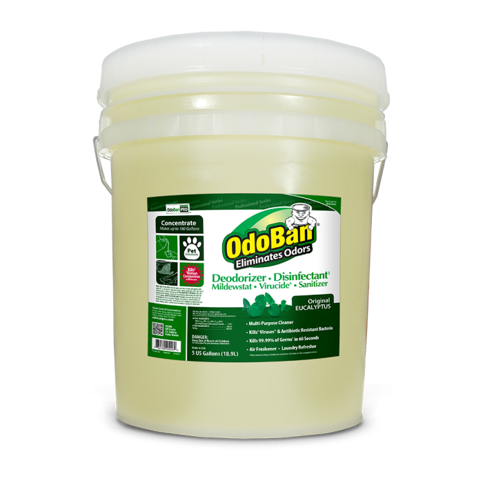 OdoBan Disinfectant &amp; Deodorizer, Eucalyptus, 5 Gallon